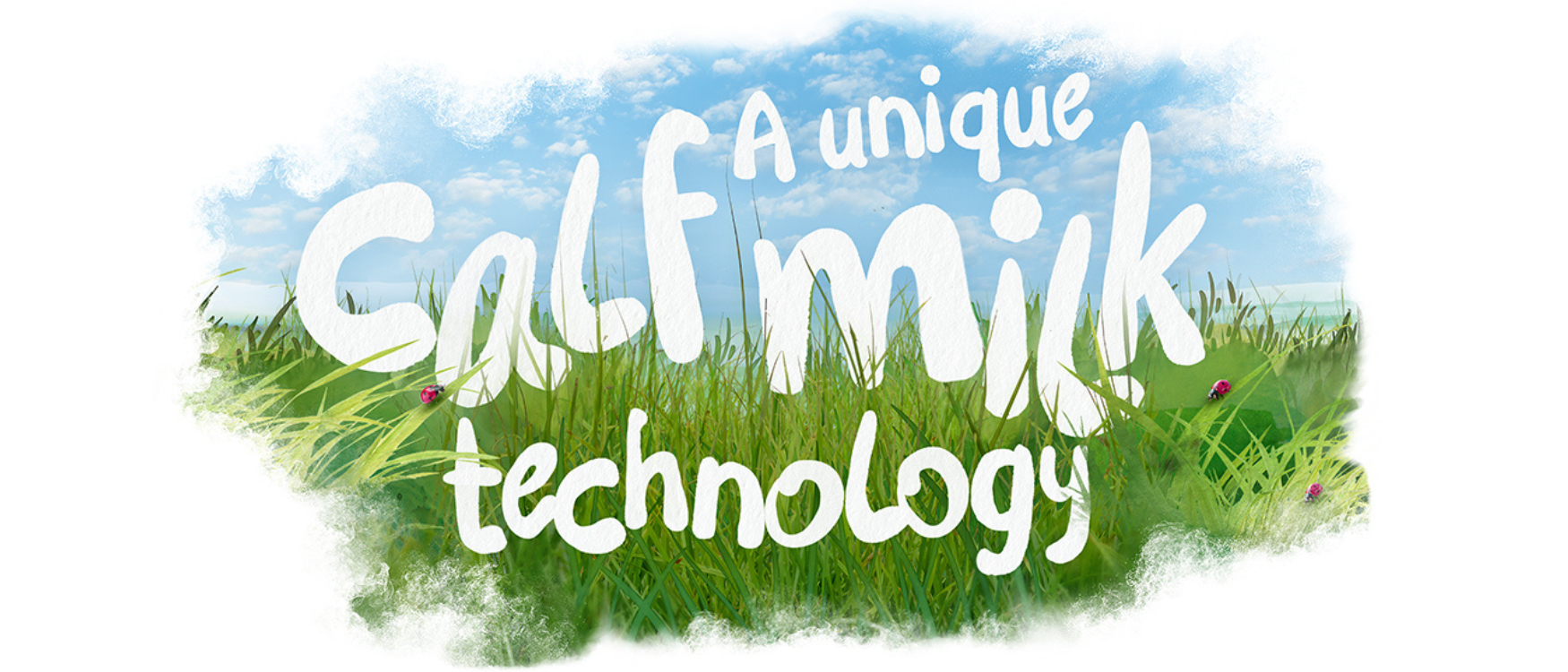 Lettres disant Une technologie unique de lait de veau flottant au-dessus d’un champ