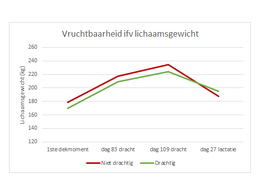 Figuur 1. Gemiddeld lichaamsgewicht (kg) van gelten gewogen op dag 0, 83, 109 van de eerste dracht en dag 27 van de lactatie. De gelten zijn opgesplitst in 2 groepen: een groep die drachtig werd en een groep die niet drachtig werd na de eerste keer insemineren in de tweede ronde.