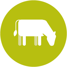Trouw_Nutrition_Iconography__TN_13993.png