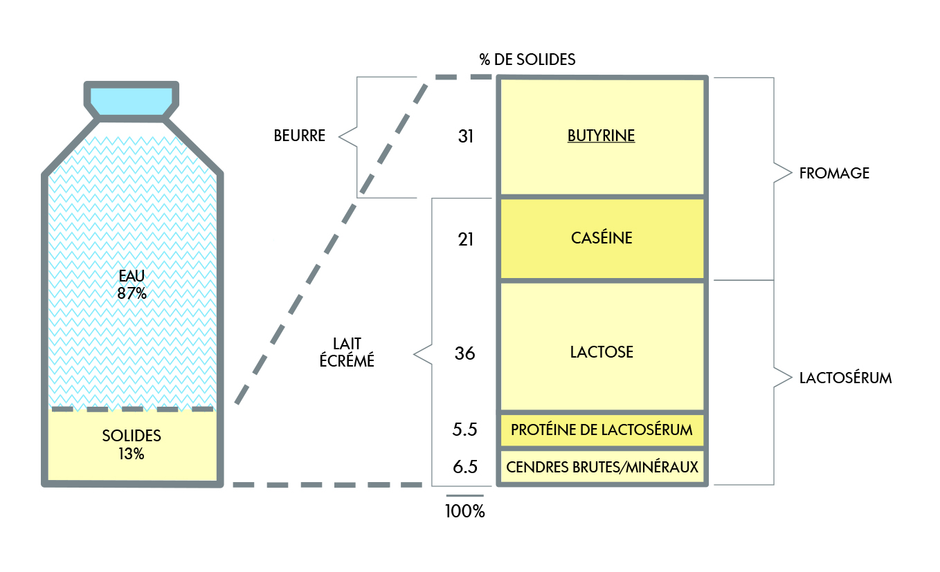 Plutôt de la poudre de lait écrémé ou du lactosérum pour les veaux ?